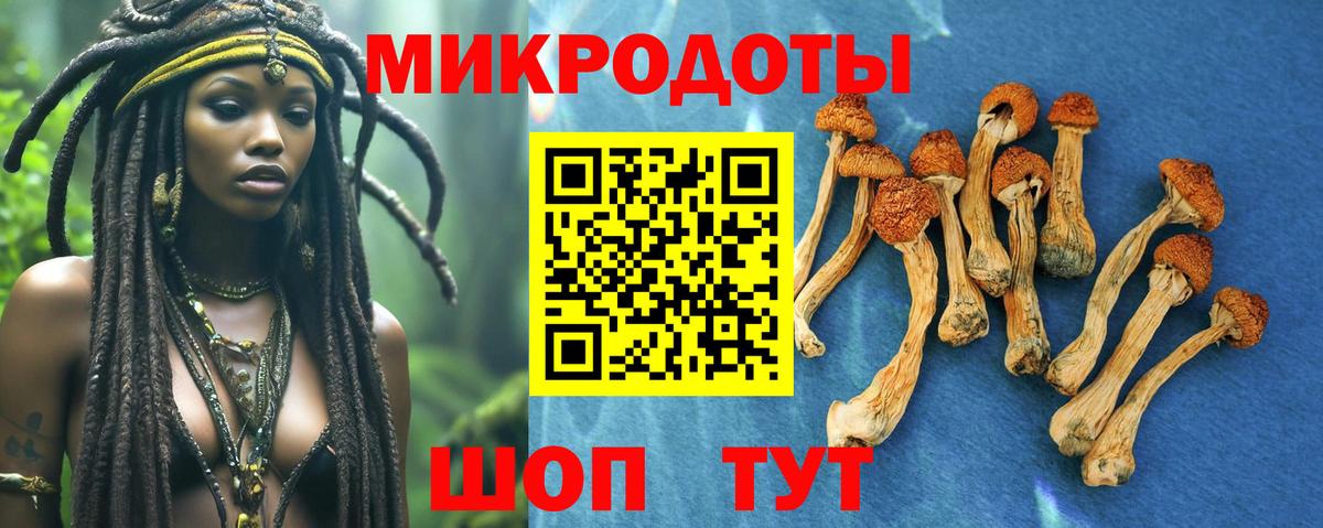 Ярославль  Галлюциногенные грибы GOLDEN TEACHER  Вход с VPN 